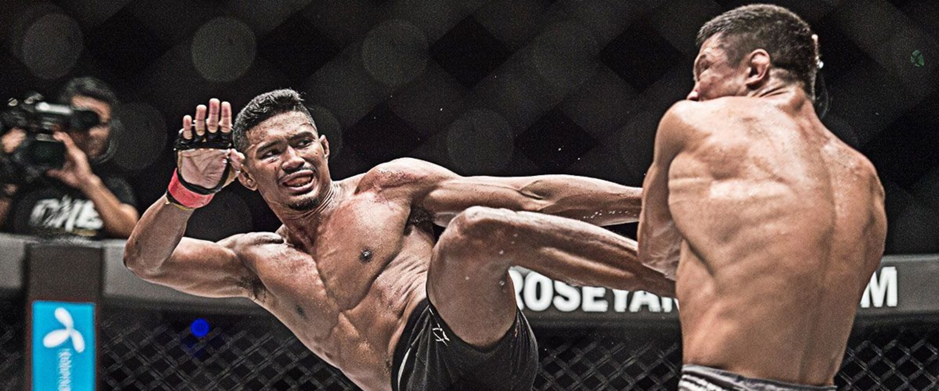 The Rise of Mixed Martial Arts: An Expert's Perspective