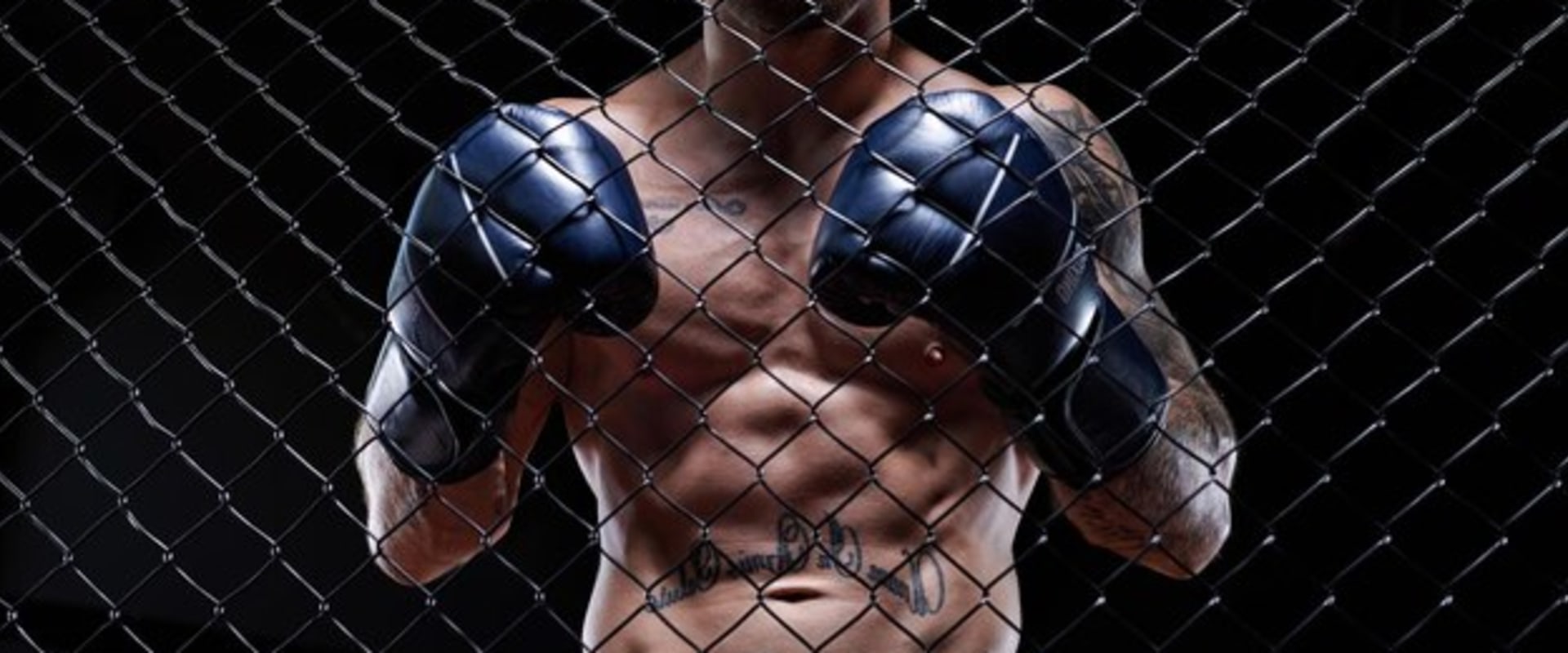 Is mixed martial arts boxing?