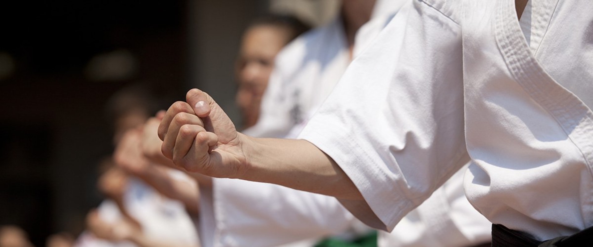 What are the two types of martial arts?
