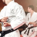 Mixed Martial Arts: A Comprehensive Guide to Self-Defense
