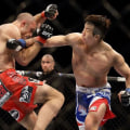 The Rise of Mixed Martial Arts: An Expert's Perspective