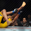 What is mixed martial arts injuries?