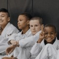 What Martial Arts Do You Learn in Mixed Martial Arts (MMA)?