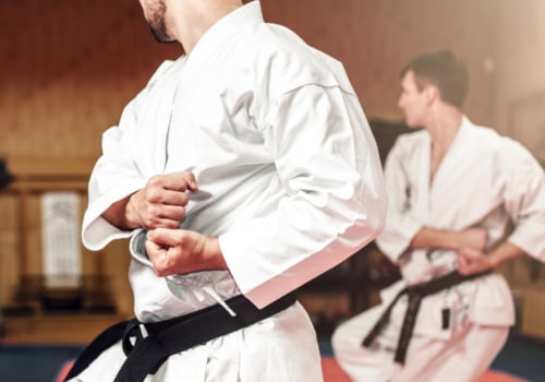 Is mixed martial arts self-defense?