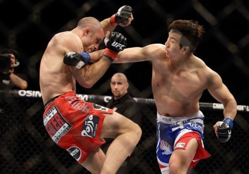 The Rise of Mixed Martial Arts: An Expert's Perspective