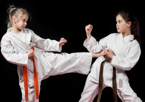 Is taekwondo a mixed martial art?